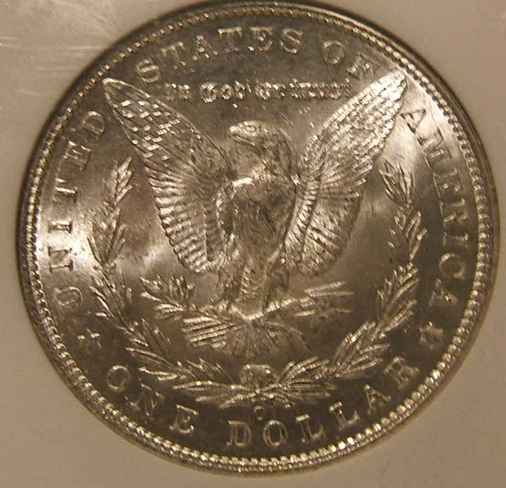 Three-Morgans-For-Grading...